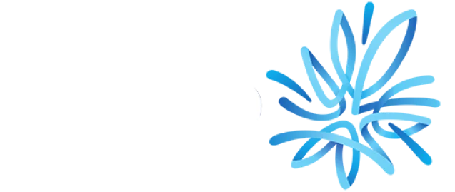 amp-logo-tahami-online