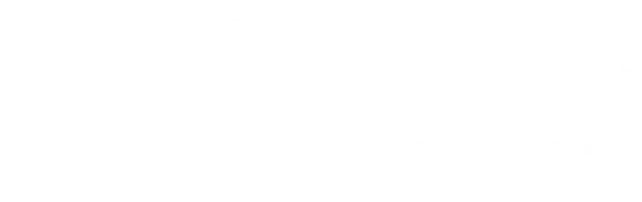 transportfornsw-logo-tahami-online